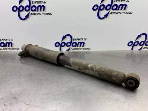 Schokdemper rechts-achter-8160979