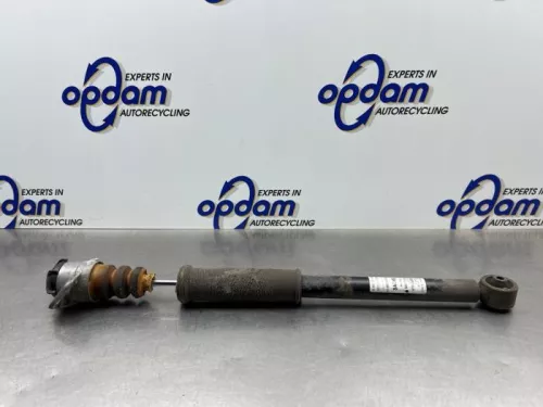 Schokdemper rechts-achter-8181957