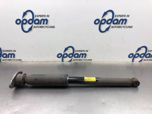 Schokdemper rechts-achter-8025105