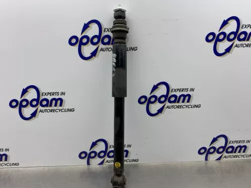 Schokdemper rechts-achter-8060518