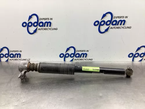 Schokdemper rechts-achter-8029827