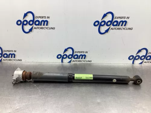 Schokdemper rechts-achter-7991147