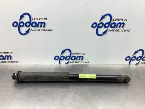 Schokdemper rechts-achter-8039844