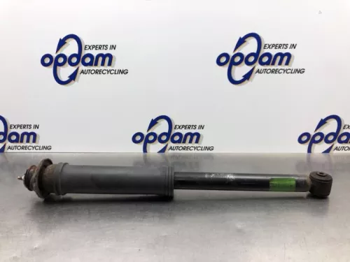 Schokdemper rechts-achter-8199609