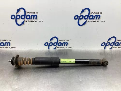 Schokdemper rechts-achter-8061581