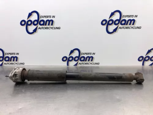 Schokdemper rechts-achter-8051442