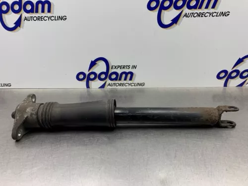 Schokdemper rechts-achter-8131101