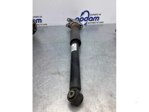 Schokdemper rechts-achter-7320059