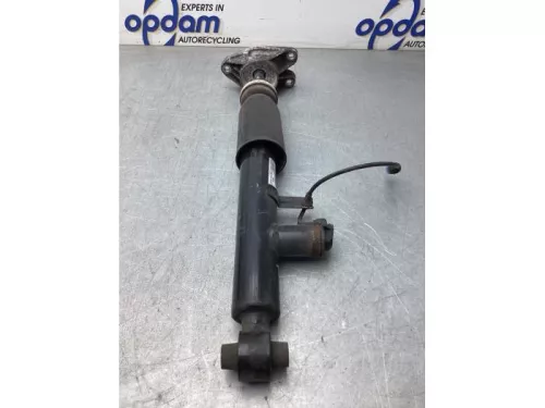 Schokdemper rechts-achter-8175183