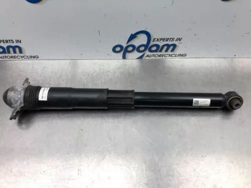 Schokdemper rechts-achter-6921457