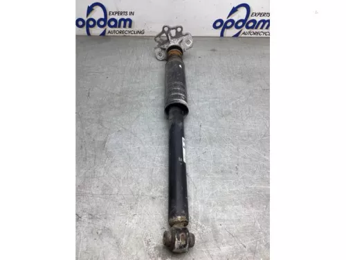 Schokdemper rechts-achter-8180176