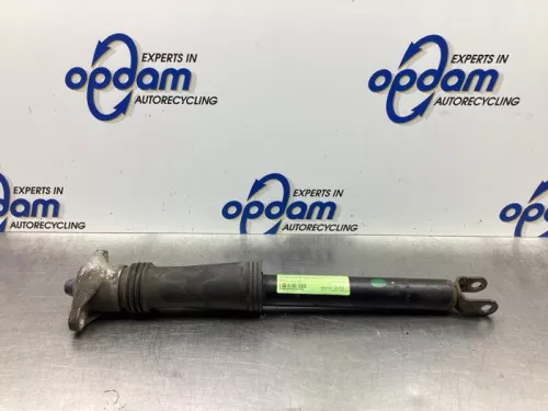 Schokdemper rechts-achter-6862895