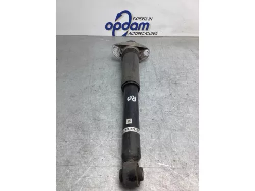 Schokdemper rechts-achter-8175775