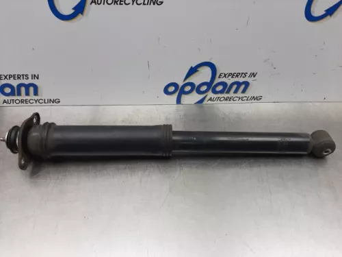 Schokdemper rechts-achter-7613777