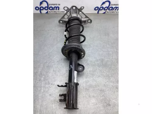 Schokdemperpoot links-achter-8202418