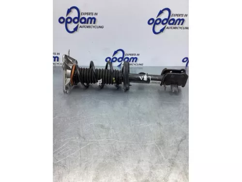 Schokdemperpoot links-achter-5939053