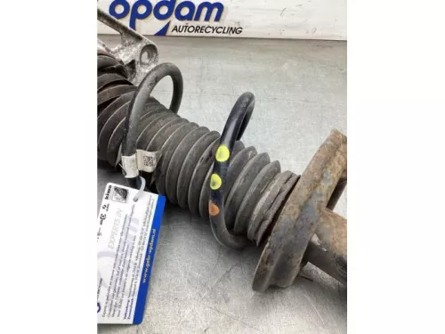 Schokdemperpoot links-achter-8202833