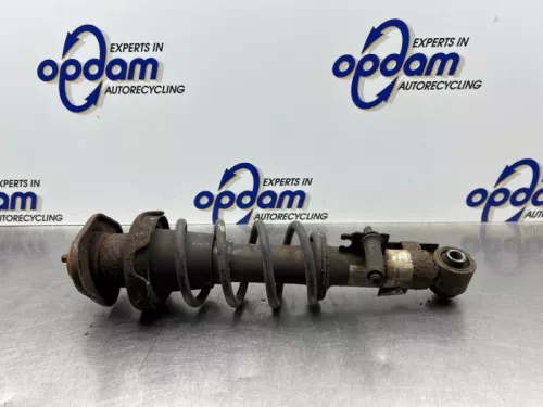 Schokdemperpoot links-achter-8217403