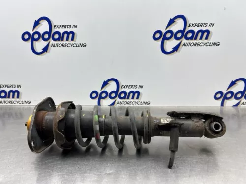 Schokdemperpoot links-achter-8118981