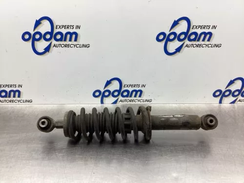 Schokdemperpoot links-achter-7983895