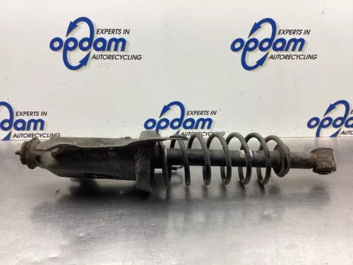 Schokdemperpoot links-achter-8039563