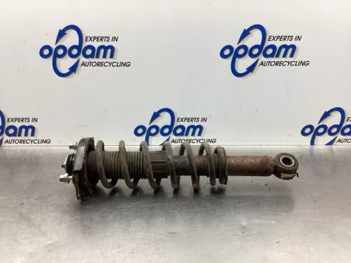 Schokdemperpoot links-achter-7609719