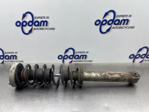 Schokdemperpoot links-achter-8192736