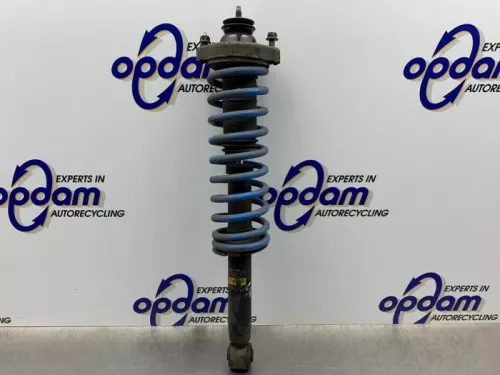 Schokdemperpoot links-achter-8325670