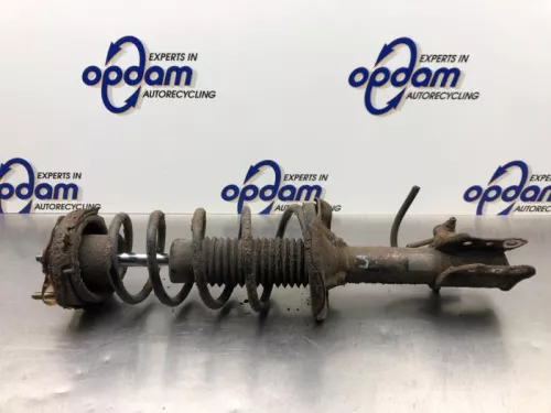 Schokdemperpoot links-achter-8245392