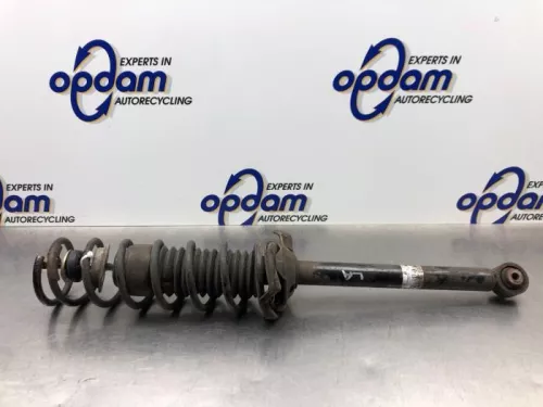 Schokdemperpoot links-achter-8246083