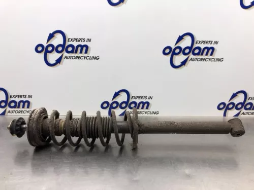 Schokdemperpoot links-achter-8181272