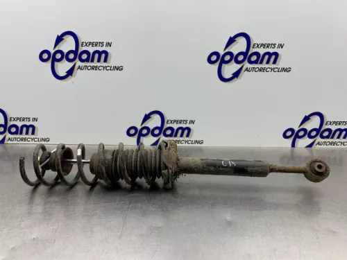 Schokdemperpoot links-achter-8273152