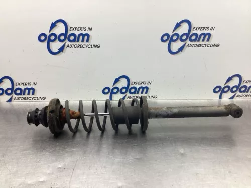 Schokdemperpoot links-achter-8074561