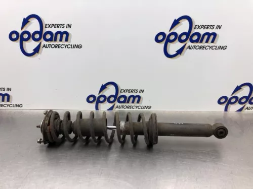 Schokdemperpoot links-achter-8268353