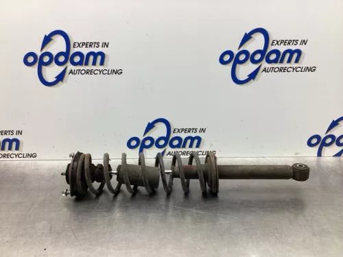 Schokdemperpoot links-achter-7929467