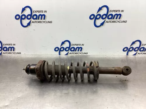 Schokdemperpoot links-achter-6923234