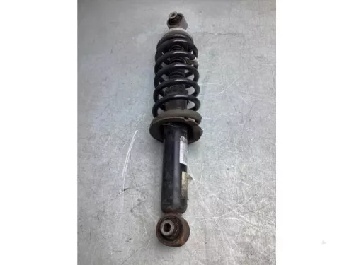 Schokdemperpoot links-achter-6922110