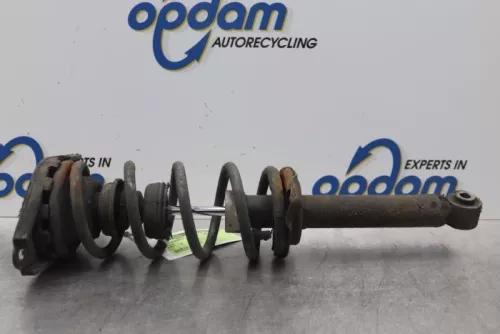 Schokdemperpoot links-achter-7851946