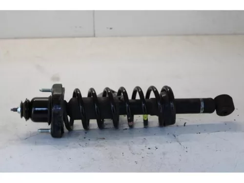 Schokdemperpoot links-achter-