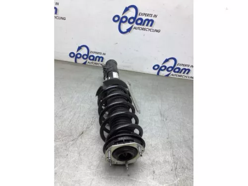 Schokdemperpoot links-voor-8164492