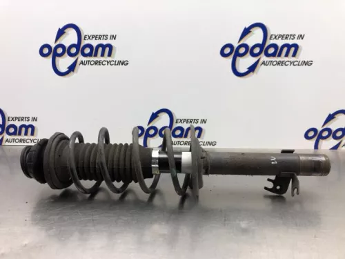 Schokdemperpoot links-voor-8139102