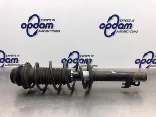 Schokdemperpoot links-voor-8075626