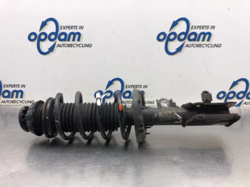 Schokdemperpoot links-voor-8091819