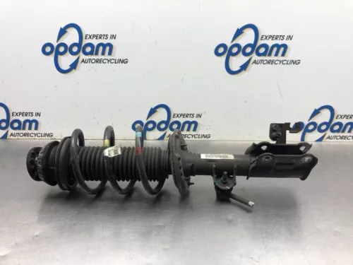 Schokdemperpoot links-voor-8056784