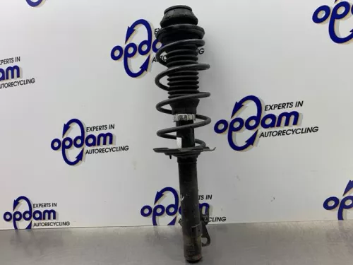 Schokdemperpoot links-voor-8110797
