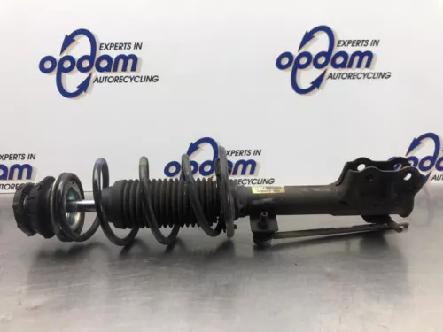 Schokdemperpoot links-voor-8119438