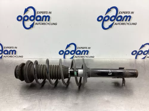 Schokdemperpoot links-voor-7615737