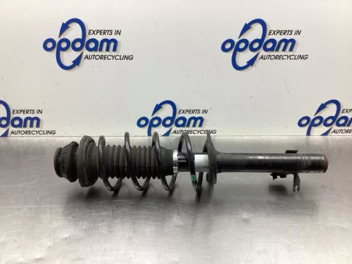 Schokdemperpoot links-voor-7937780
