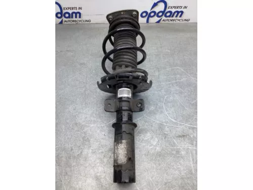 Schokdemperpoot links-voor-8042677