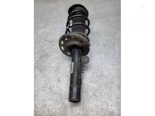 Schokdemperpoot links-voor-8028933